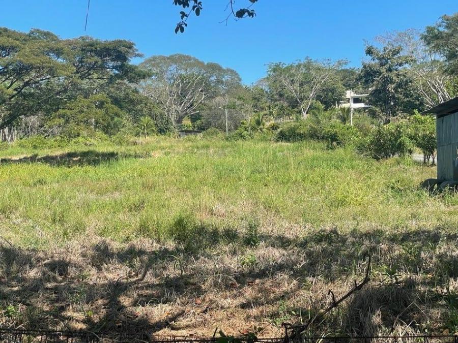 Foto Terreno en Venta en Orotina Alajuela, Orotina Alajuela, Alajuela - ¢ 70.000.000 - TEV102102 - BienesOnLine