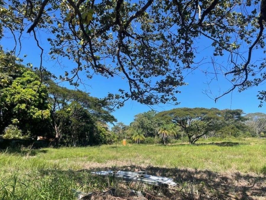 Foto Terreno en Venta en Orotina Alajuela, Orotina Alajuela, Alajuela - ¢ 70.000.000 - TEV102103 - BienesOnLine