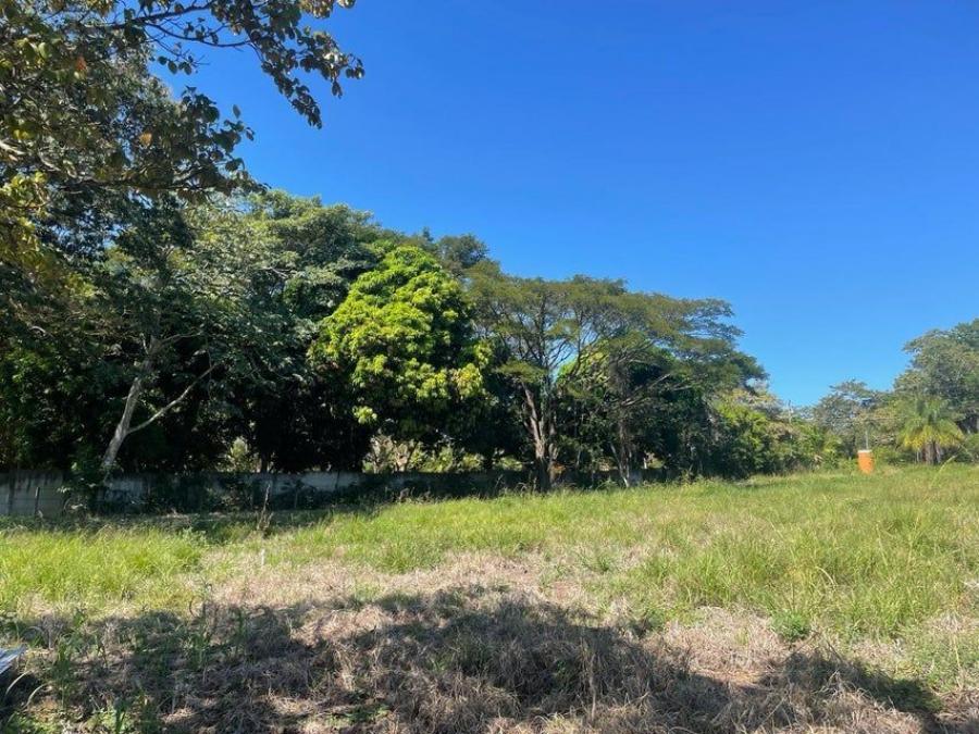 Foto Terreno en Venta en Orotina Alajuela, Orotina Alajuela, Alajuela - ¢ 70.000.000 - TEV103705 - BienesOnLine