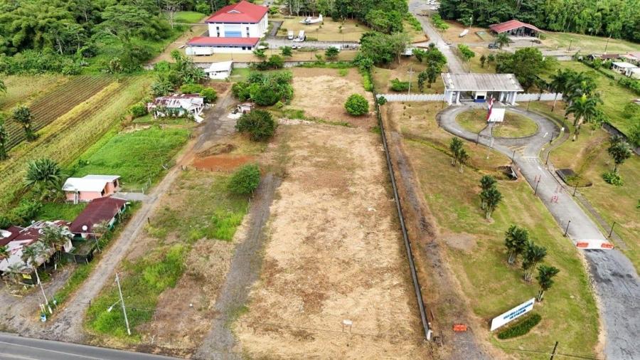 Foto Terreno en Venta en POCOCI GUAPILES, POCOCI GUAPILES, Limn - ¢ 65.000.000 - TEV101547 - BienesOnLine