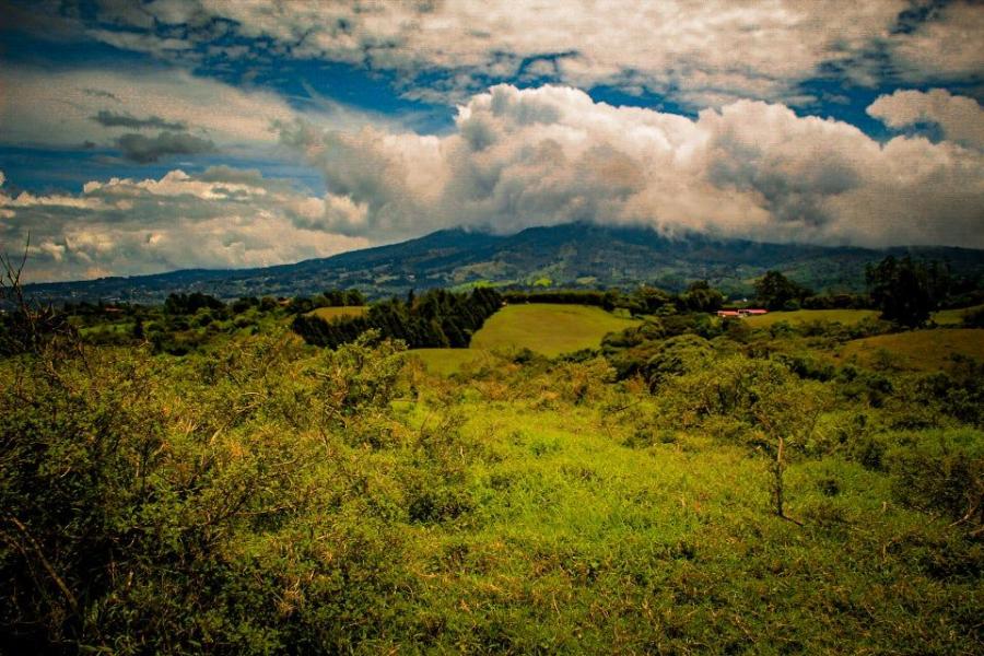 Foto Finca en Venta en DULCE NOMBRE VASQUEZ CORONADO, DULCE NOMBRE VASQUEZ CORONADO, San Jos - U$D 289.400 - FIV103665 - BienesOnLine