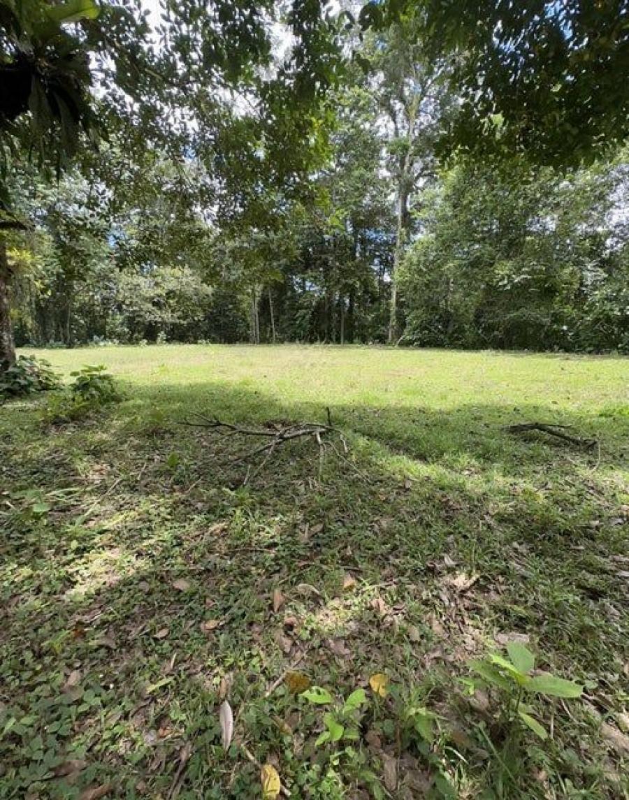 Foto Terreno en Venta en PUERTO VIEJO SARAPIQUI, PUERTO VIEJO SARAPIQUI, Heredia - U$D 350.000 - TEV106655 - BienesOnLine