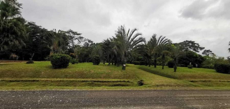 Foto Terreno en Venta en POCOCI GUAPILES, Pococí, Limón - ¢ 50.000.000 - TEV108665 - BienesOnLine