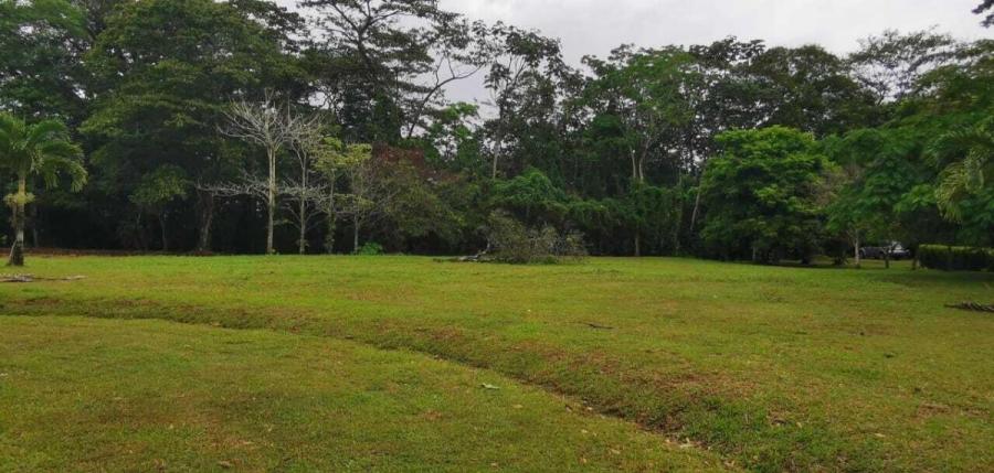 Foto Terreno en Venta en POCOCI GUAPILES, Pococí, Limón - ¢ 50.000.000 - TEV108663 - BienesOnLine