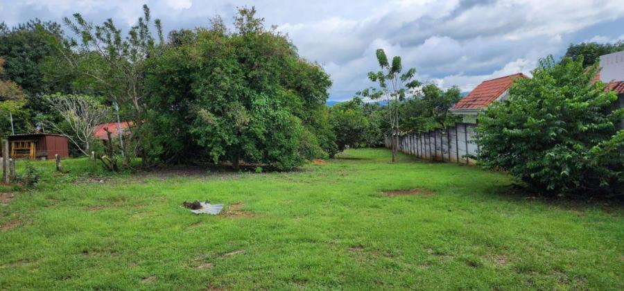 MLS-25-738 LS VENTA LOTE LA GARITA ALAJUELA