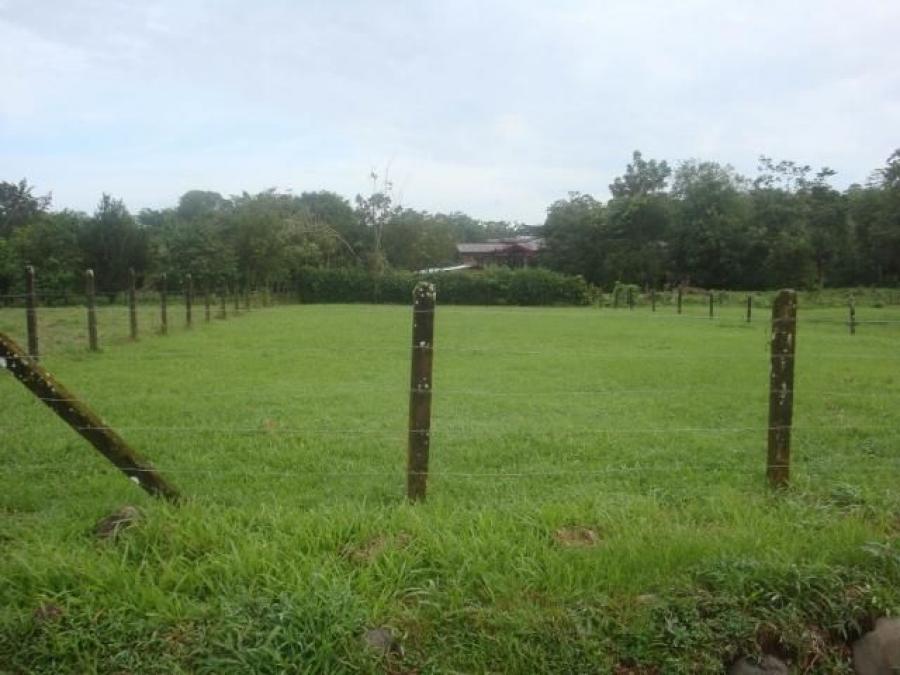 Foto Terreno en Venta en Guapiles, Pococí, Limón - U$D 45.000 - TEV25151 - BienesOnLine