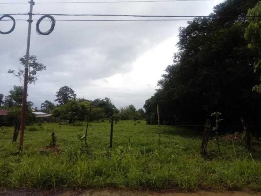 Foto Terreno en Venta en Guapiles, Pococí, Limón - ¢ 11.000.000 - TEV26343 - BienesOnLine