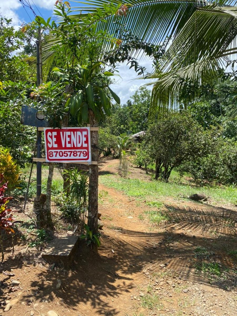 Foto Terreno en Venta en Guapiles, Pococ, Limn - ¢ 20.000.000 - TEV104806 - BienesOnLine