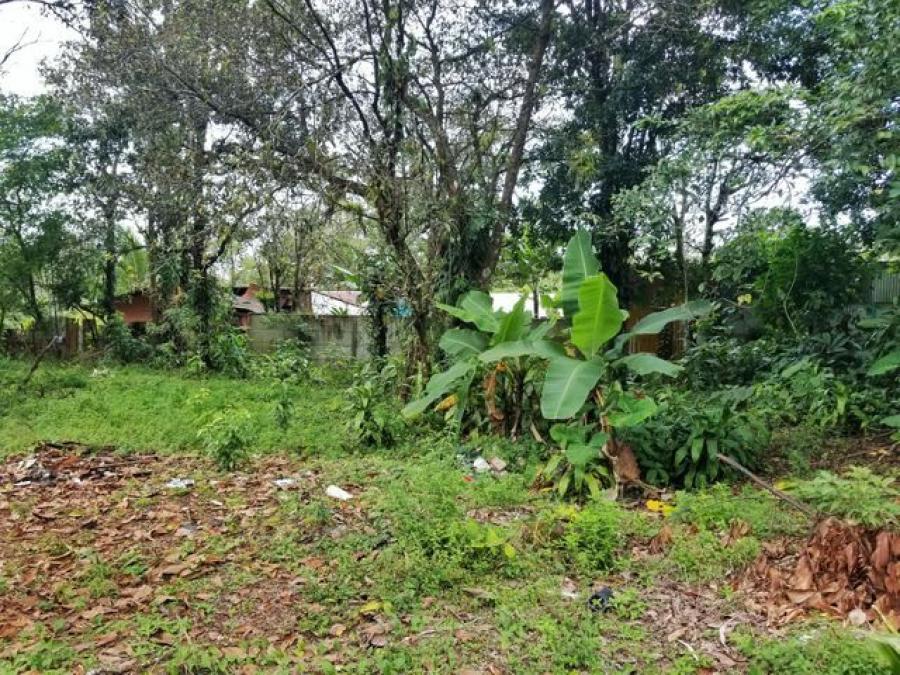 Foto Terreno en Venta en Guapiles, Pococ, Limn - U$D 13.850 - TEV53339 - BienesOnLine