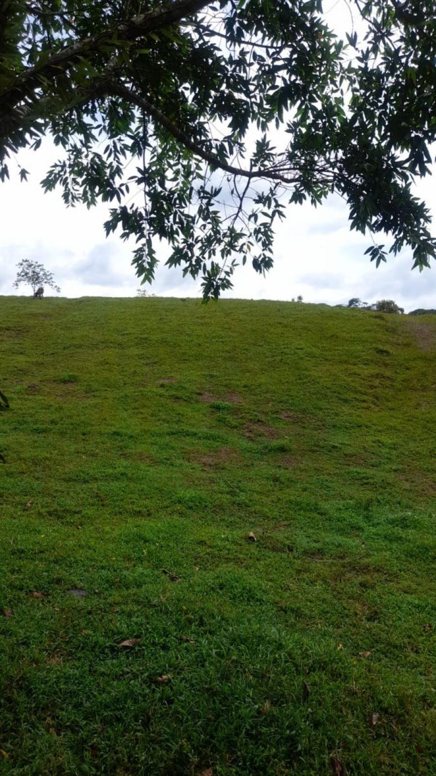 Foto Terreno en Venta en La Virgen, Sarapiquí, Heredia - ¢ 40.000.000 - TEV100272 - BienesOnLine