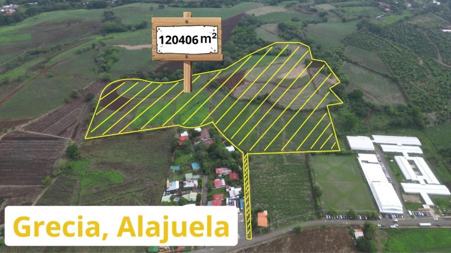 PROPIEDAD INDUSTRIAL Y RESIDENCIAL DE 12.4 HA EN GRECIA, ALAJUELA