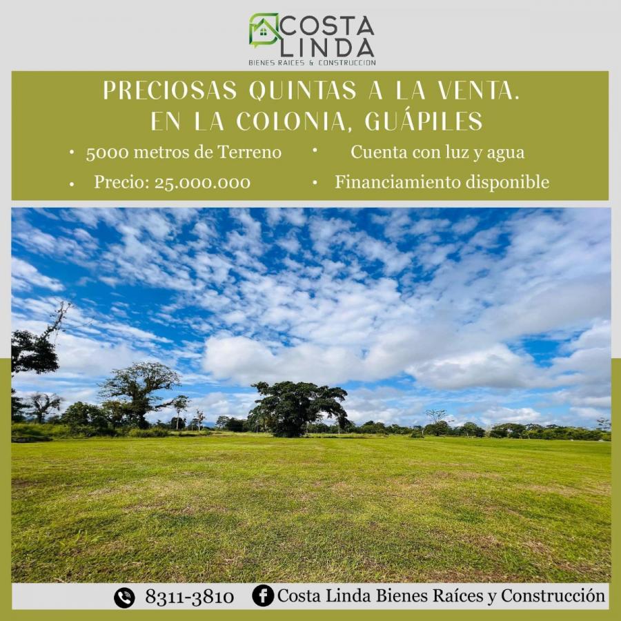 Foto Terreno en Venta en La Colonia, Guápiles, Limón - ¢ 25.000.000 - TEV77316 - BienesOnLine