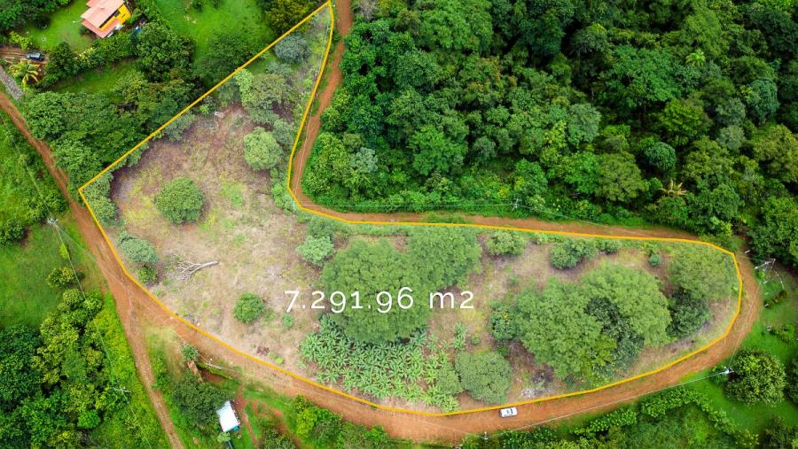 Foto Terreno en Venta en Biofotos, Puntarenas - U$D 160.000 - TEV37732 - BienesOnLine