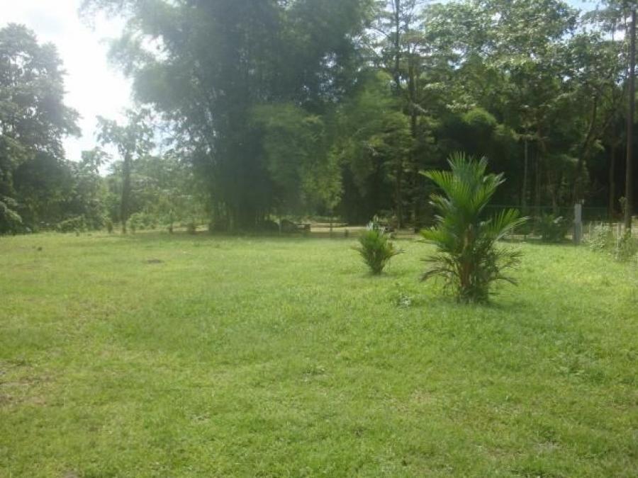 Foto Terreno en Venta en Sarapiquí, Heredia - U$D 55.000 - TEV30276 - BienesOnLine