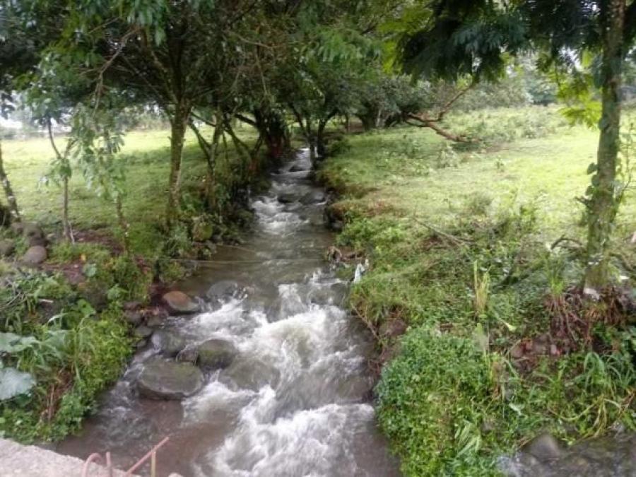 Foto Terreno en Alquiler en Pococí, Limón - U$D 21.000 - TEA24803 - BienesOnLine