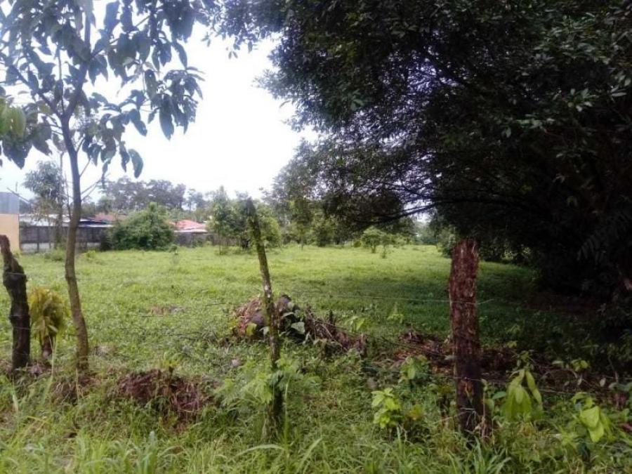 Foto Terreno en Venta en Pococí, Limón - U$D 21.000 - TEV31559 - BienesOnLine