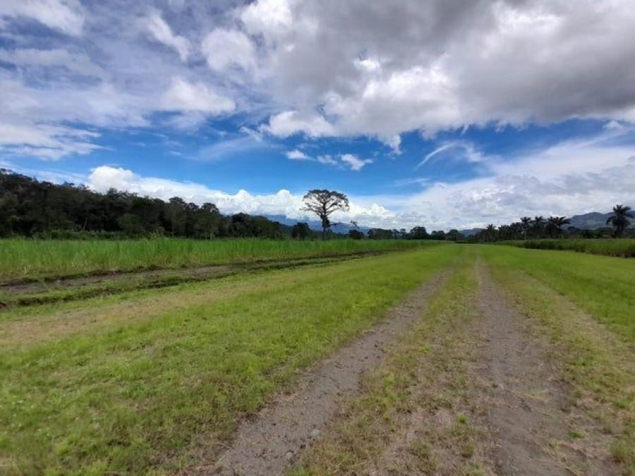 Foto Terreno en Venta en Turrialba, Cartago - U$D 3.350.000 - TEV105505 - BienesOnLine