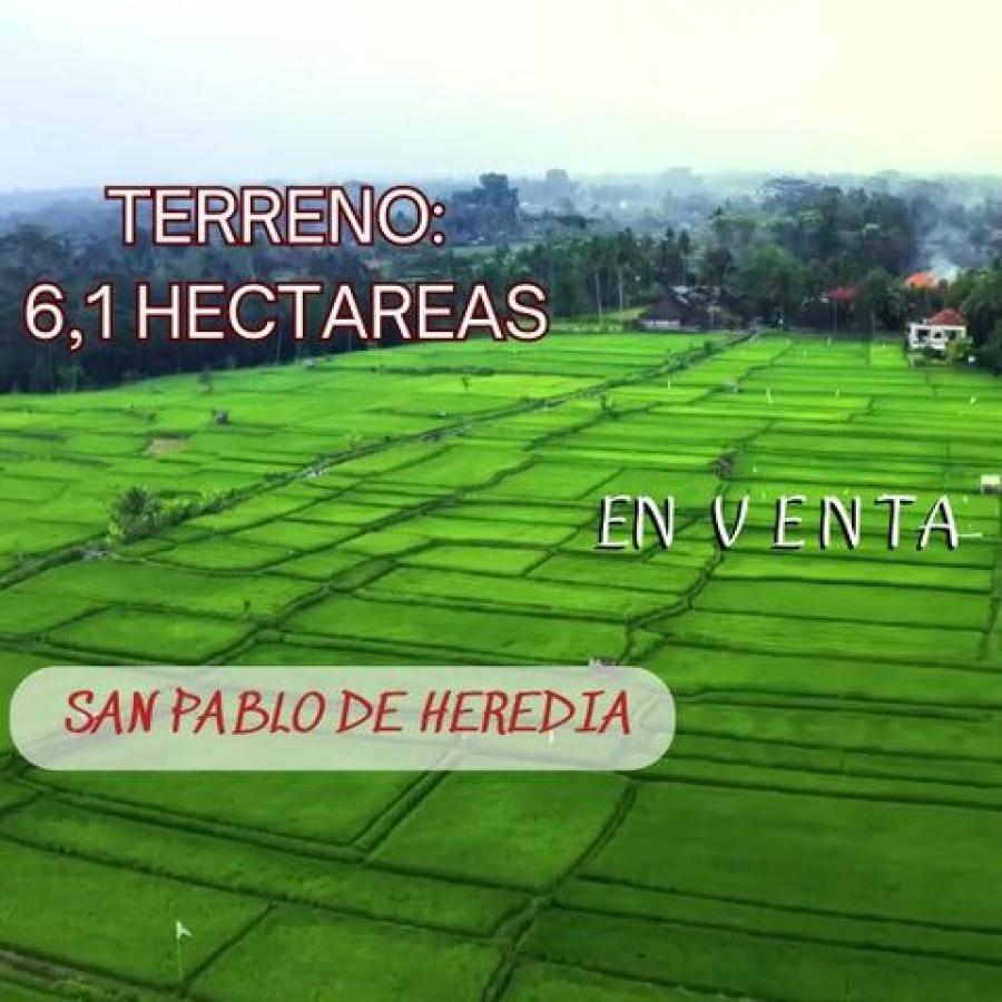 Foto Terreno en Venta en San Pablo, Heredia - U$D 3.400.000 - TEV104211 - BienesOnLine