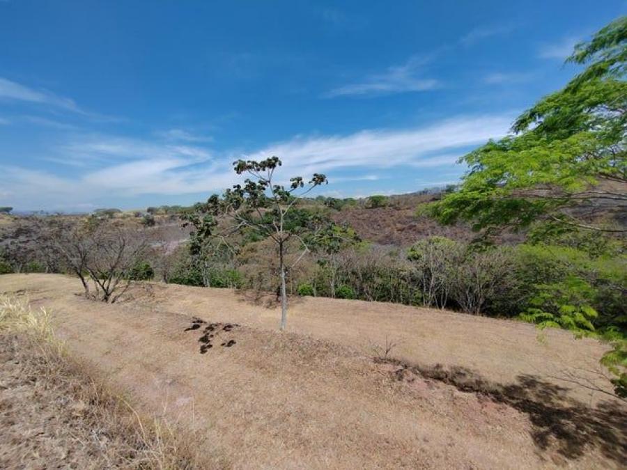 Foto Terreno en Venta en Gucima, Alajuela - U$D 158.500 - TEV101978 - BienesOnLine