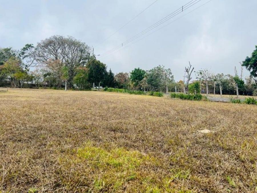 Foto Terreno en Venta en Concepcin, Heredia - ¢ 150.000.000 - TEV104725 - BienesOnLine