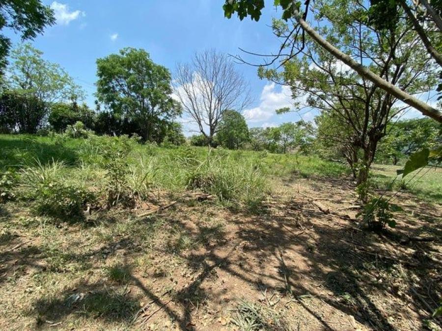 Foto Terreno en Venta en Turrúcares, Alajuela - ¢ 450.000 - TEV102109 - BienesOnLine