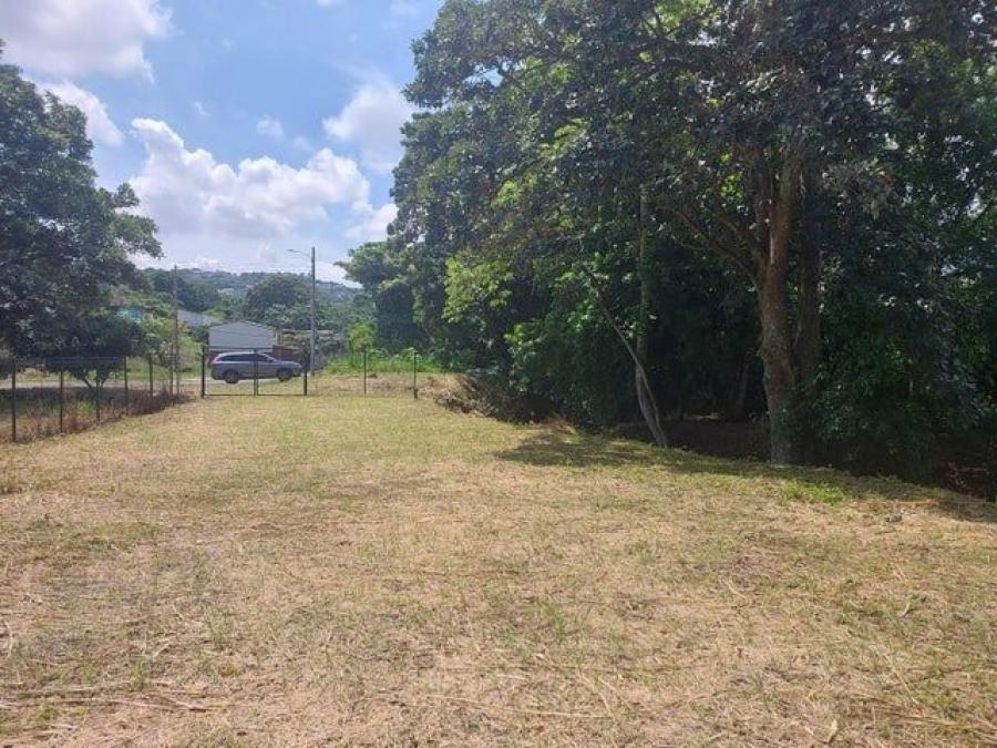 Se vende amplio lote de 2,362m2 en Pozos de Santa Ana 24-1914