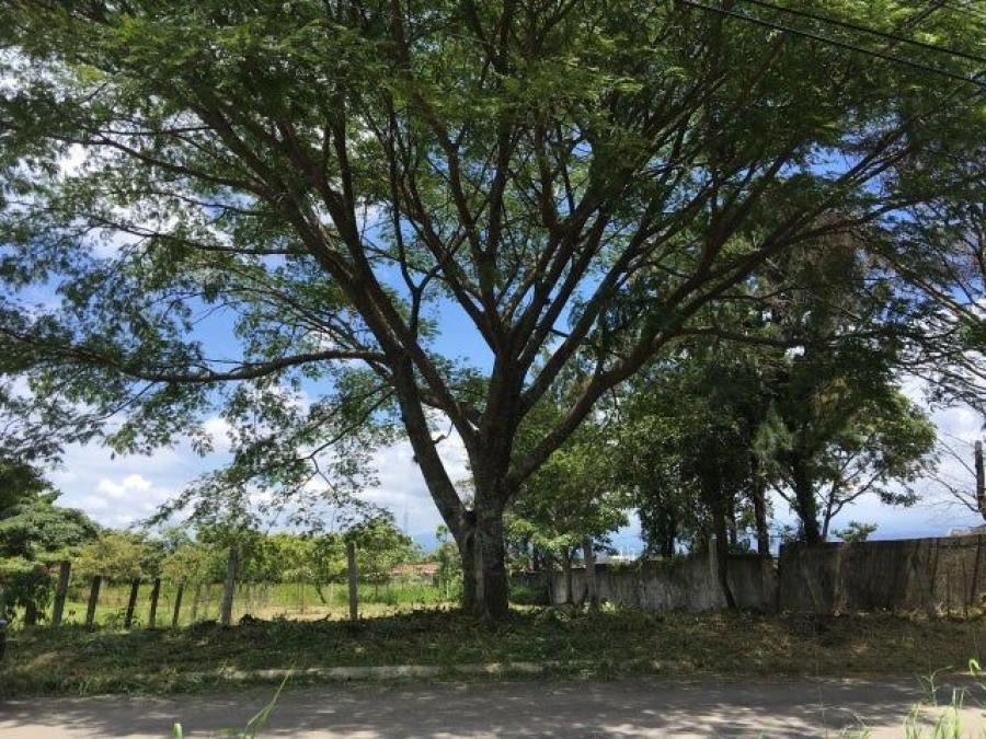 Se vende amplio terreno de 678m2 en Uruca de Santa Ana 24-1595