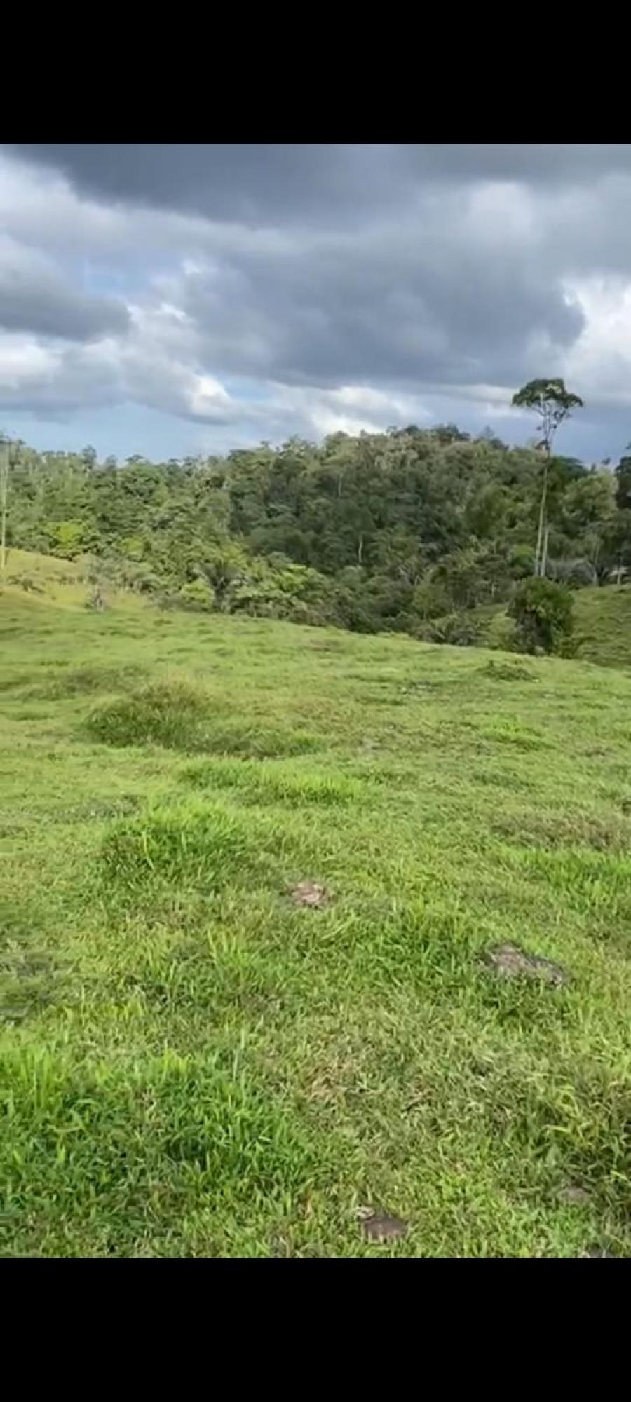 SE VENDE BELLA Y ÚTIL FINCA EN SIQUIRRES. 