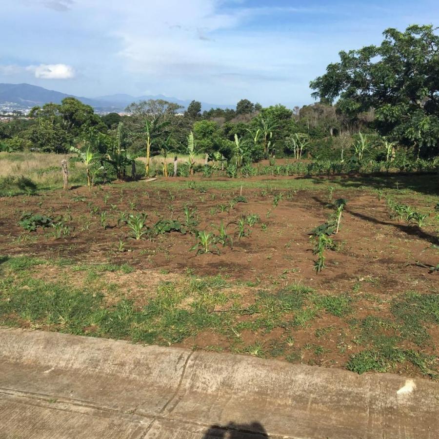 Foto Finca en Venta en Concepcin, San Rafael, Heredia - ¢ 130.000.000 - FIV101803 - BienesOnLine