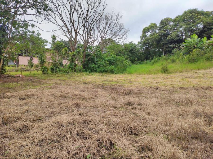 Foto Terreno en Venta en Centro, Palmares, Alajuela - ¢ 18.000.000 - TEV108834 - BienesOnLine