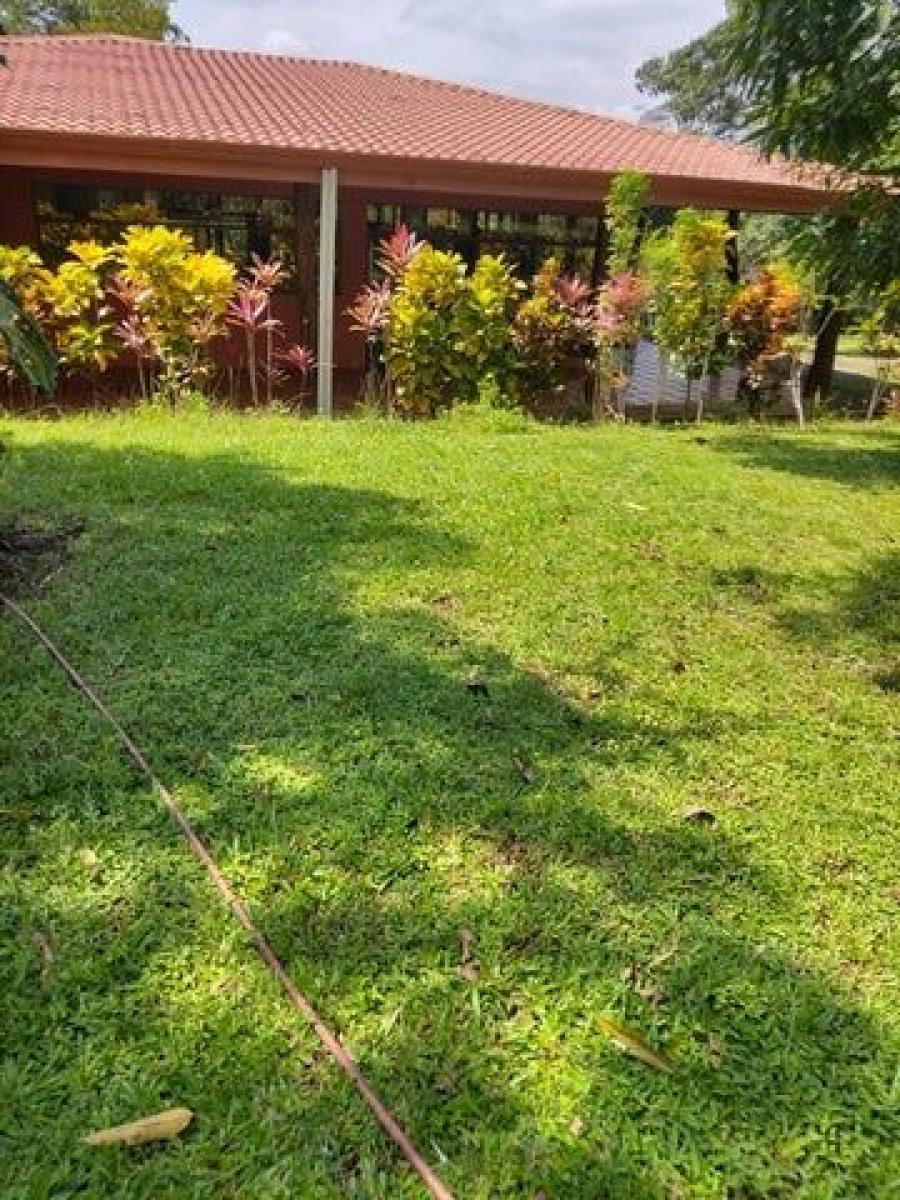 Foto Casa en Venta en Mastate, Alajuela - U$D 1.655.000 - CAV106959 - BienesOnLine