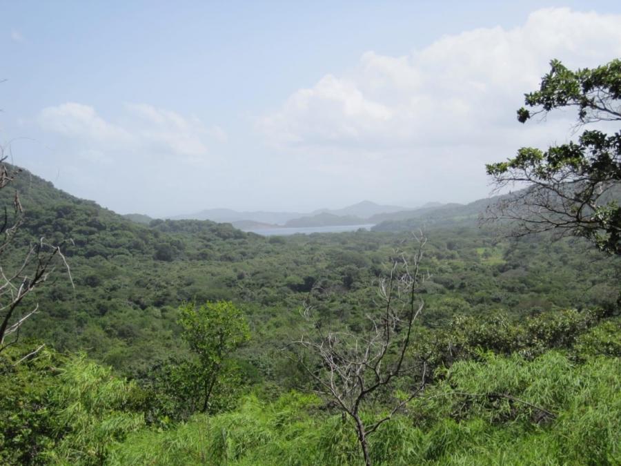 Foto Finca en Venta en Santa Cruz, Guanacaste - 10 hectareas - ¢ 20.000 - FIV98823 - BienesOnLine