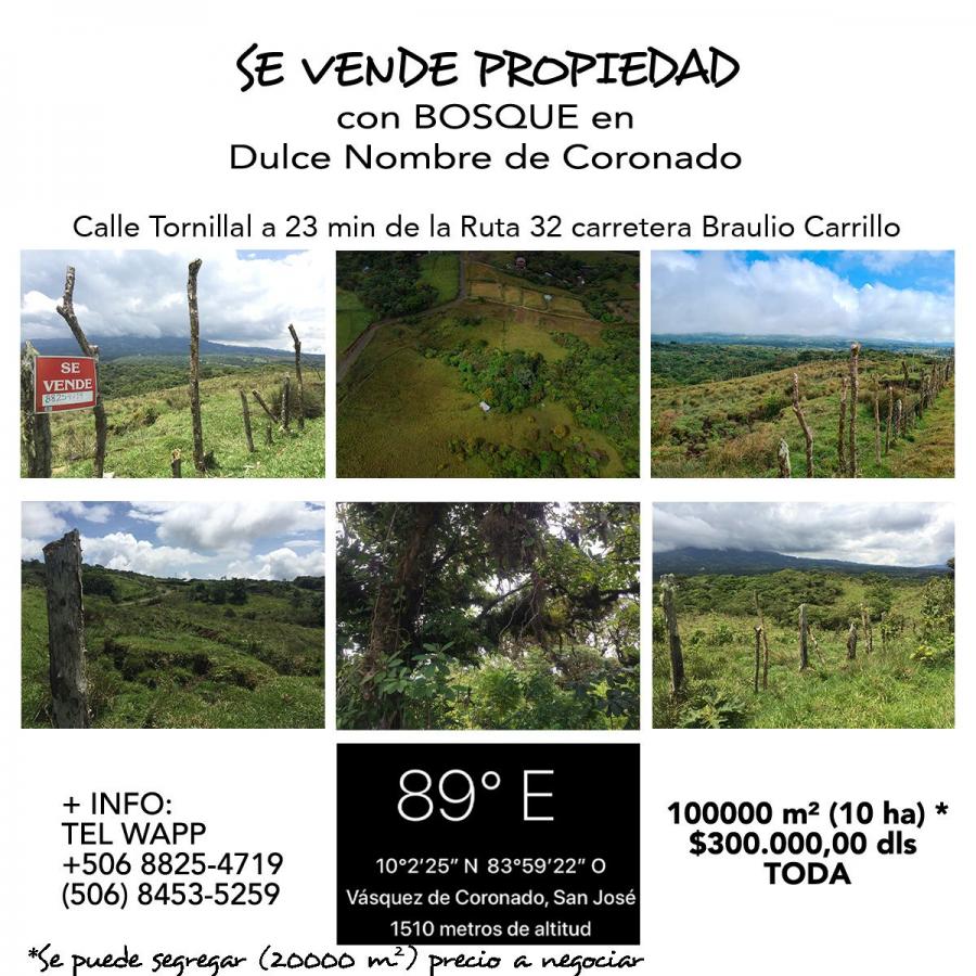 Foto Terreno en Venta en Calle Tornillal, Vasquez de Coronado, San José - U$D 300.000 - TEV91207 - BienesOnLine