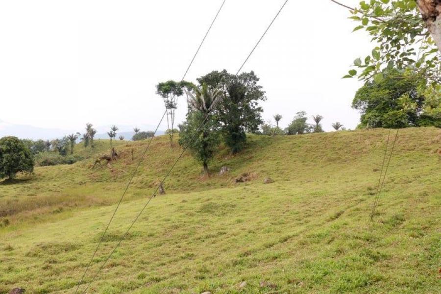 Se vende gran lote con 2,190,000m2 de lote en Guápiles de Pococí 23-908