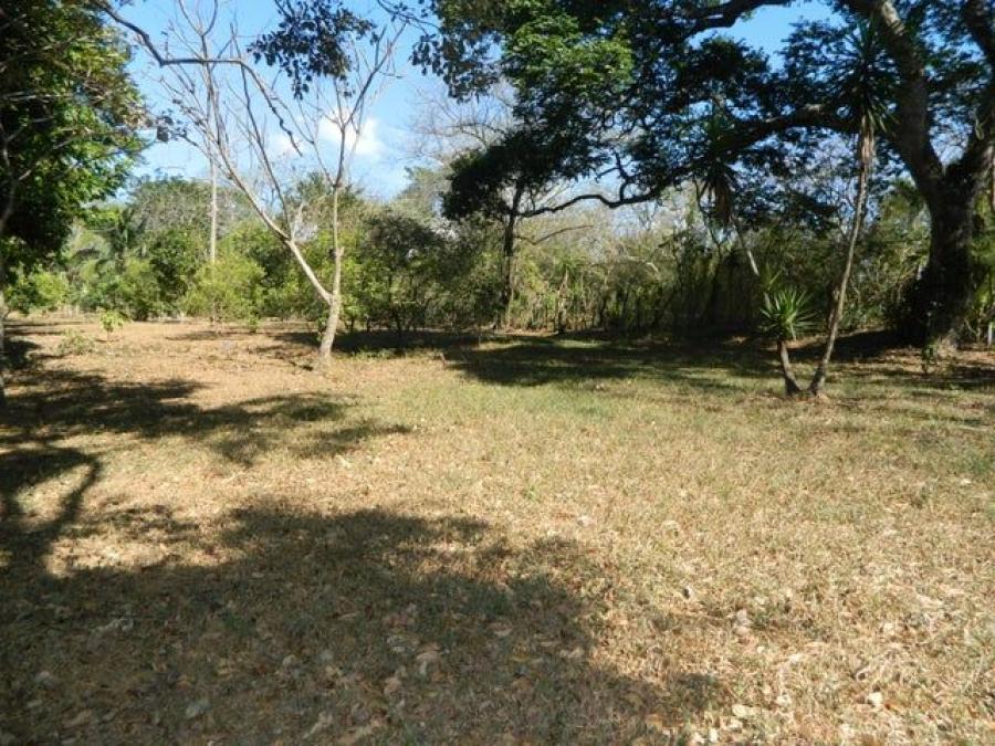 Se vende lote de 320m2 en Ciudad Colón de Mora 23-3562