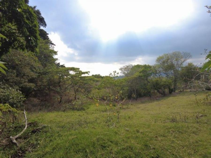 Foto Terreno en Venta en Santo Domingo, Heredia - U$D 360.000.000 - TEV108934 - BienesOnLine