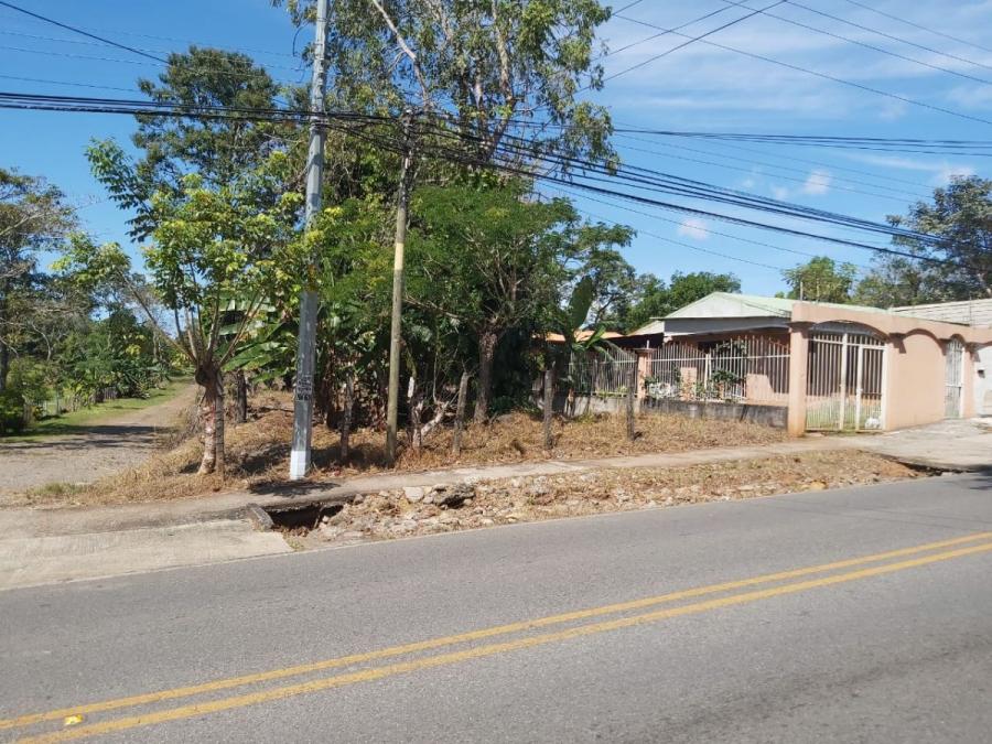 Foto Terreno en Venta en San Isidro de Miramar, Montes de Oro, Puntarenas - ¢ 21.500.000 - TEV36276 - BienesOnLine