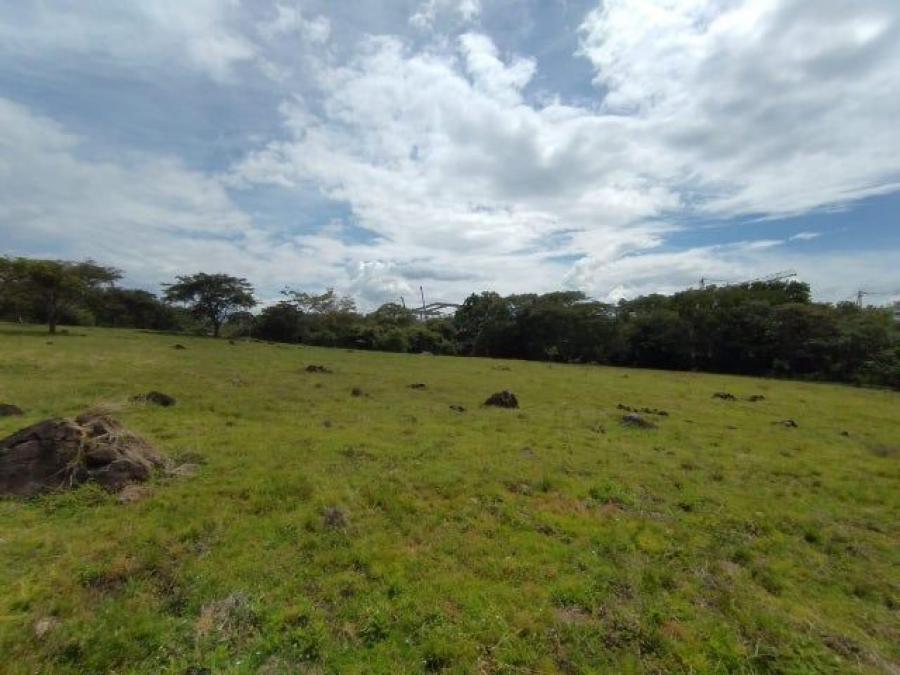 Foto Terreno en Venta en Garita, Alajuela - U$D 4.316.000 - TEV102198 - BienesOnLine