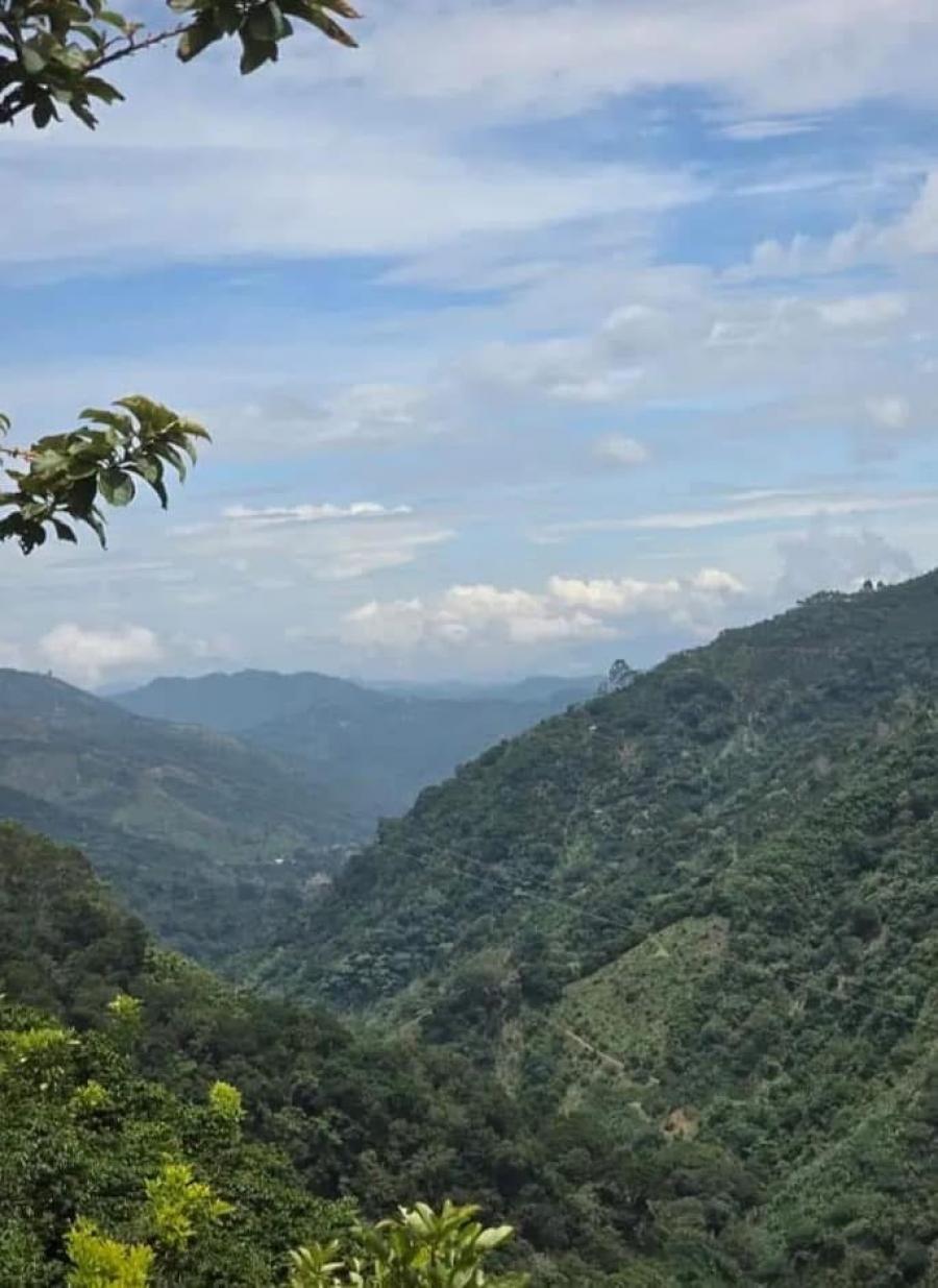 Terreno en Venta en  León Cortes, San José