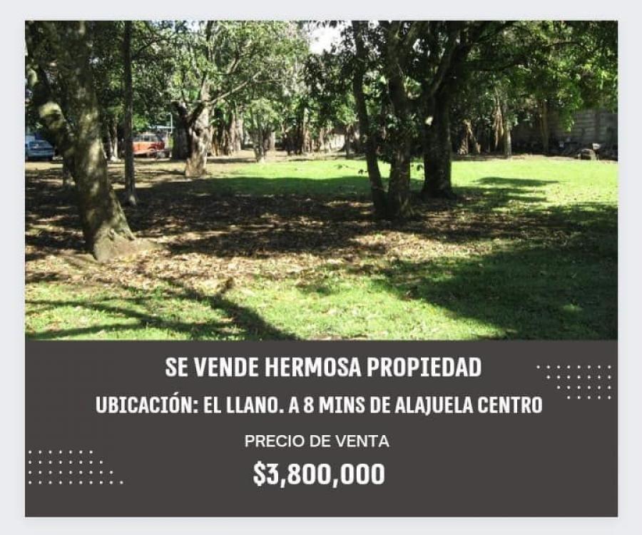 Foto Terreno en Venta en Alajuela, Alajuela - U$D 3.800.000 - TEV106402 - BienesOnLine