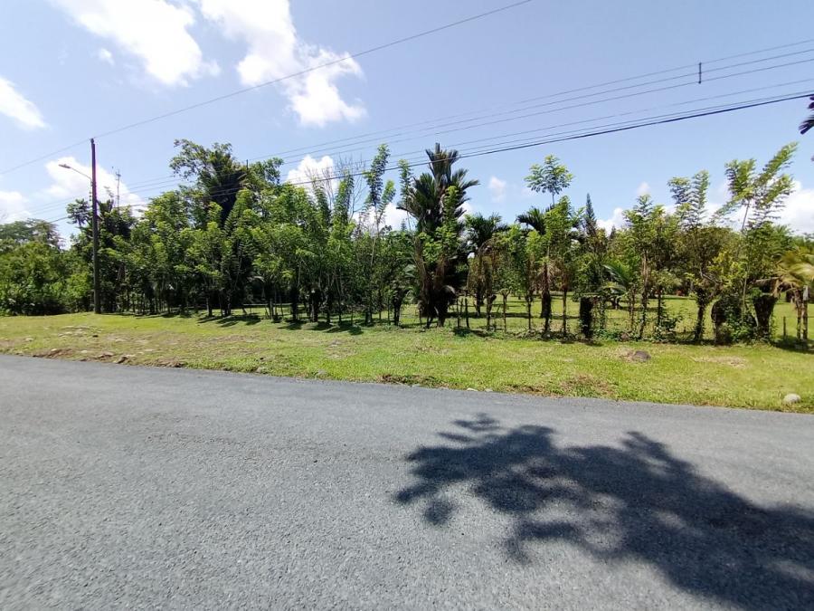 Foto Terreno en Venta en La Colonia, Limón - ¢ 45.000.000 - TEV101719 - BienesOnLine