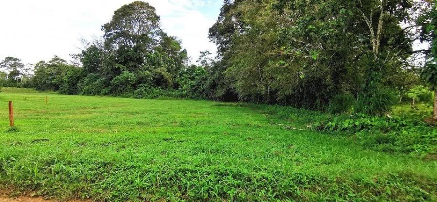 Foto Terreno en Venta en ngeles., Fortuna, Alajuela - ¢ 20.000.000 - TEV103591 - BienesOnLine