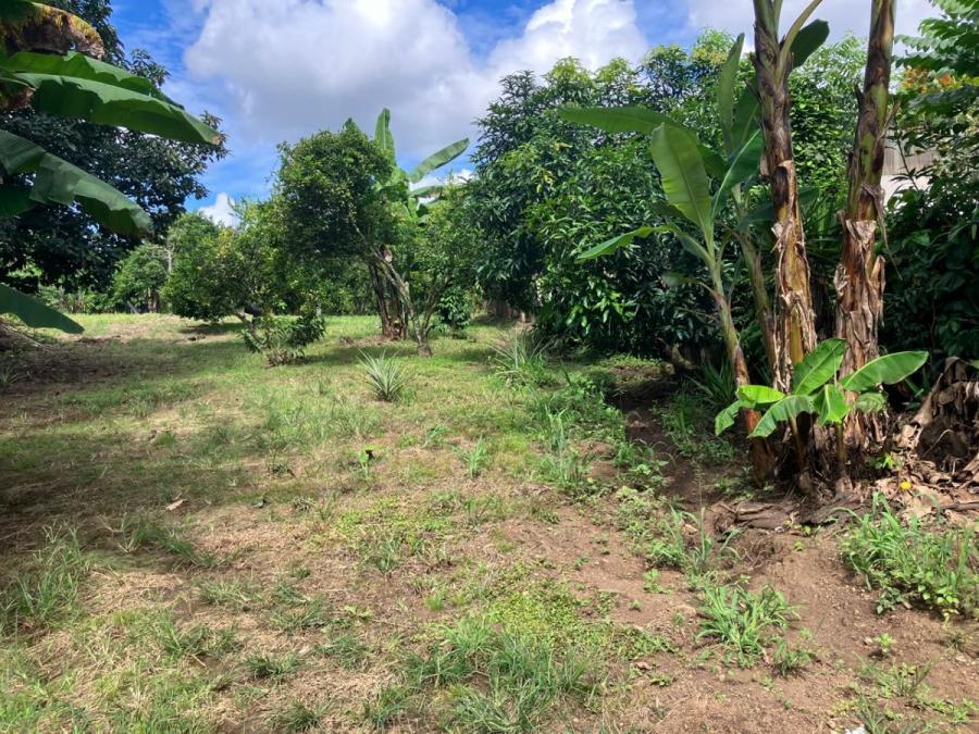 Terreno en Venta en Santa Bárbara