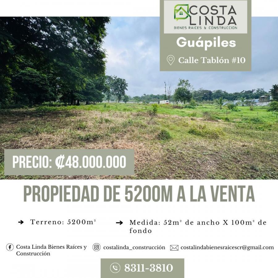 Foto Terreno en Venta en Calle Tablón, Guápiles, Limón - ¢ 48.000.000 - TEV100858 - BienesOnLine