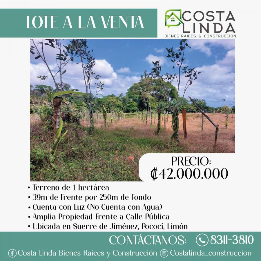 Foto Terreno en Venta en Jimnez, Gupiles, Limn - ¢ 42.000.000 - TEV103403 - BienesOnLine