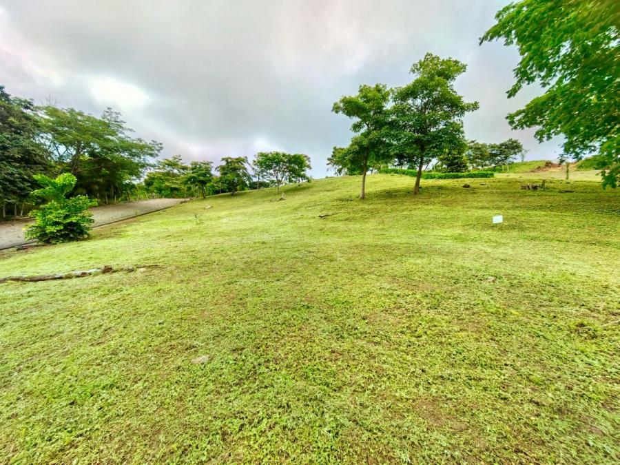 Foto Terreno en Venta en Juanilama sobre ruta 622, Esparza, Puntarenas - ¢ 37.000.000 - TEV106290 - BienesOnLine