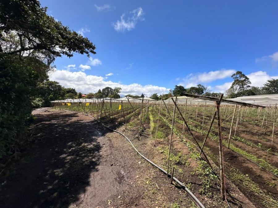 Terreno en Venta en San Josecito San Isidro, Heredia