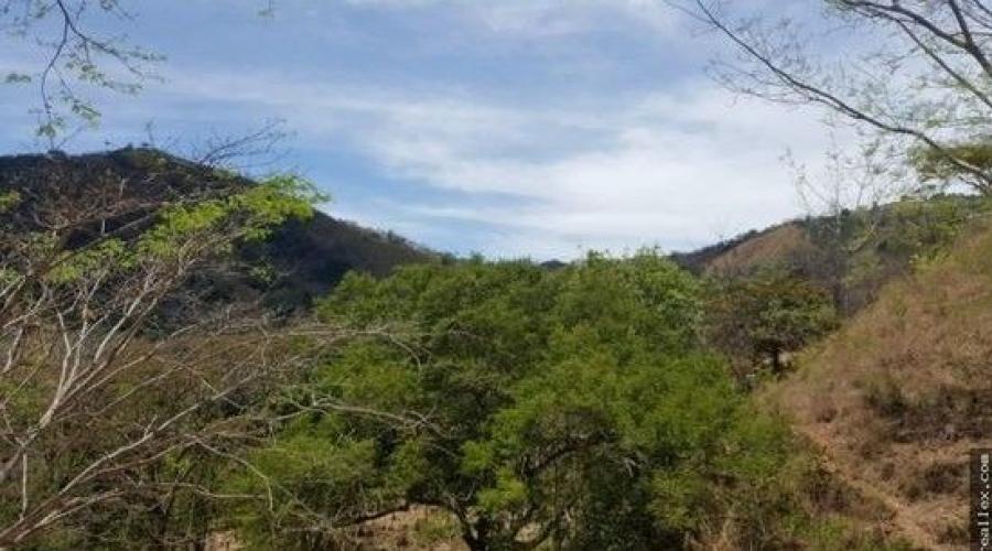 Foto Finca en Venta en Nandayure, Guanacaste - U$D 60.000 - FIV64331 - BienesOnLine