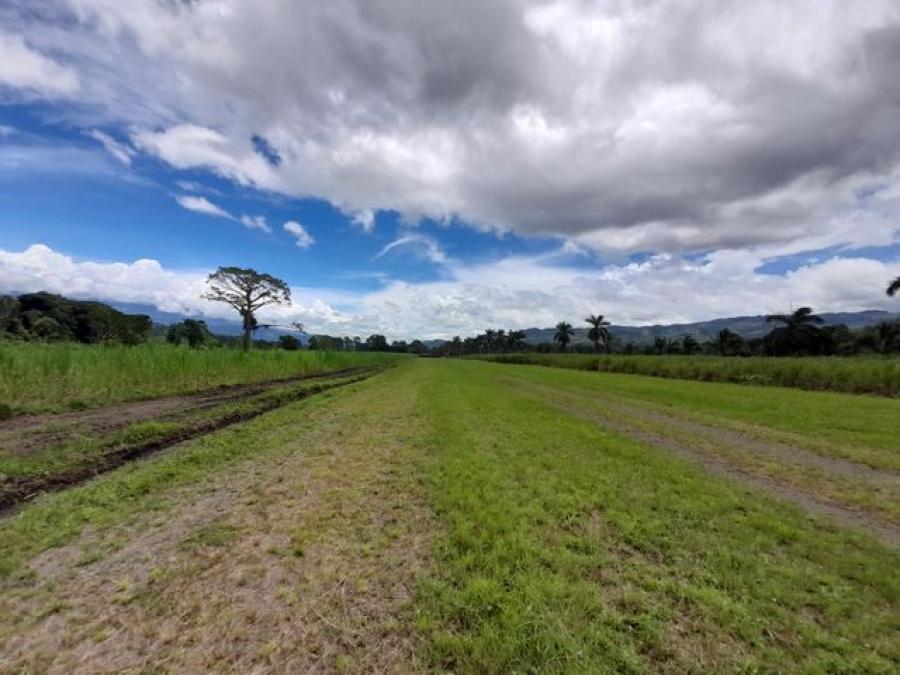 Foto Terreno en Venta en Turrialba, Turrialba, Cartago - 20 hectareas - U$D 2.916.214 - TEV65595 - BienesOnLine