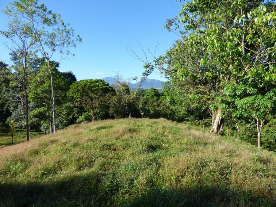 Foto Terreno en Venta en La Virgen, Sarapiquí, Heredia - U$D 60.000 - TEV82480 - BienesOnLine